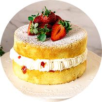 sponge-and-cake-bases-product